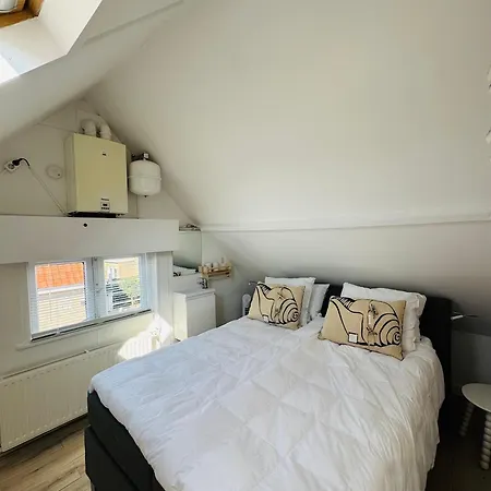 Zeeschelpje アパート